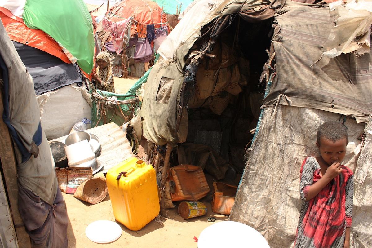 Comment la crise climatique met en péril la santé des enfants