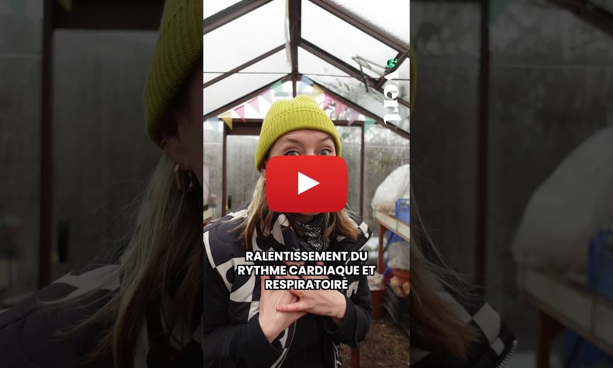 Comment les femelles d&rsquo;autres espèces esquivent leurs gros lourdeaux ?