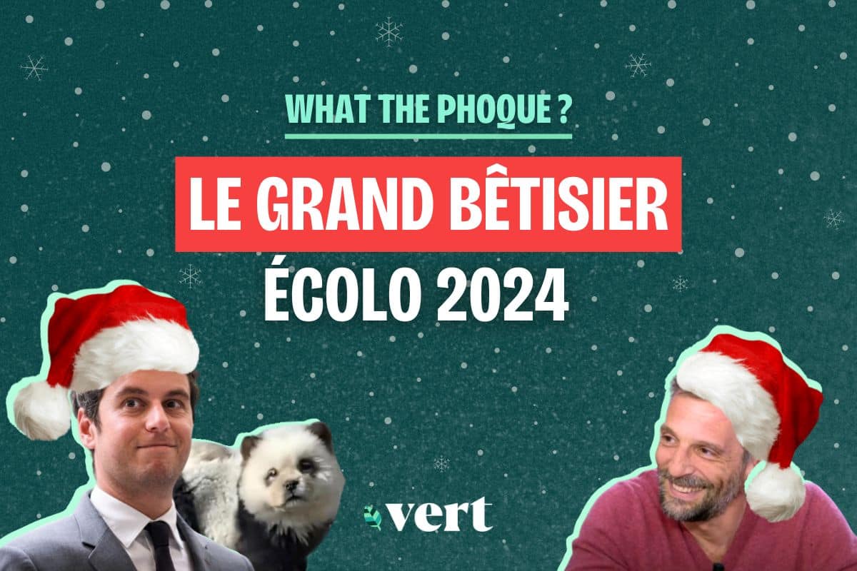 Le grand bêtisier écolo de l’année 2024