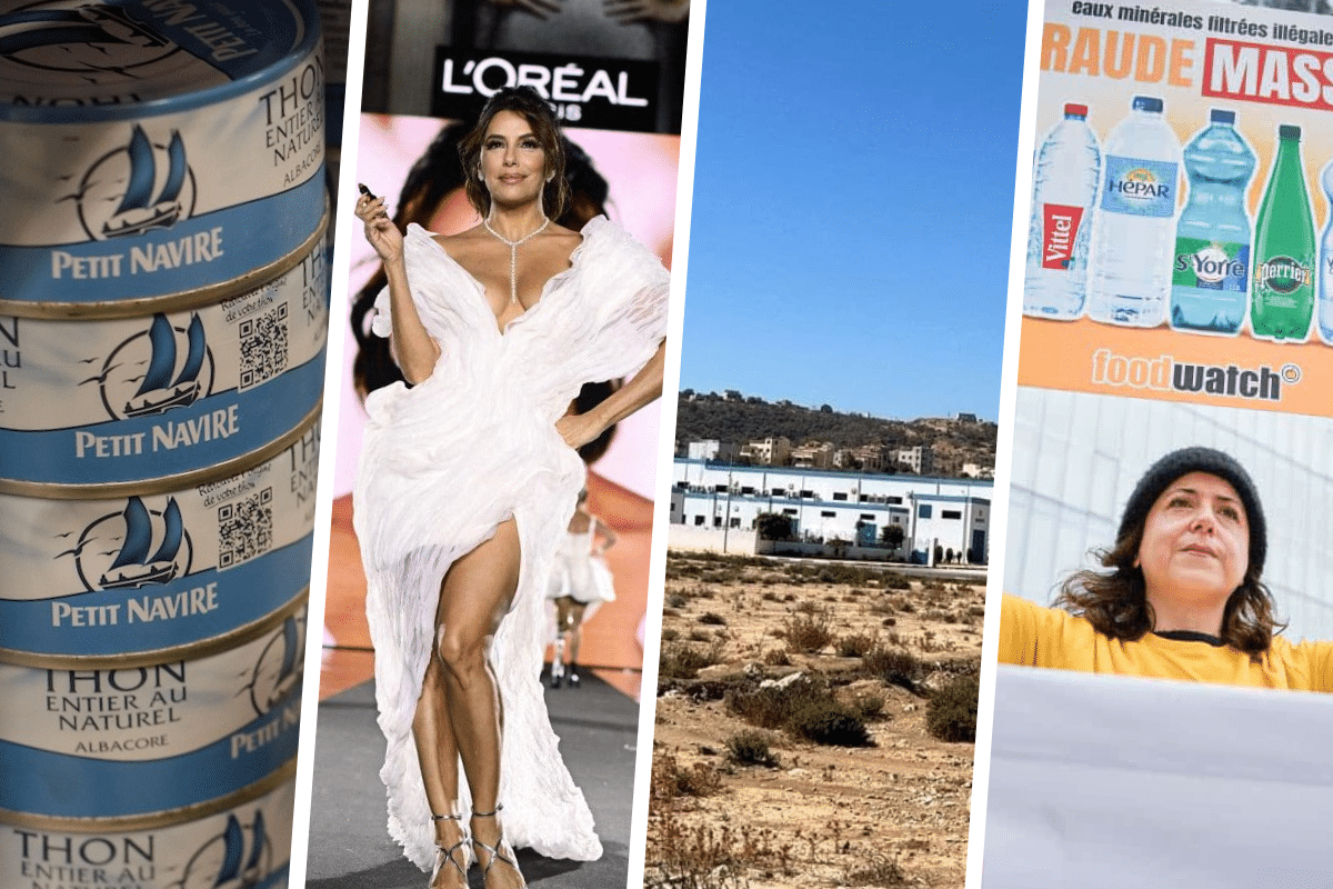 On a compilé les articles de Vert que vous avez préférés en 2024