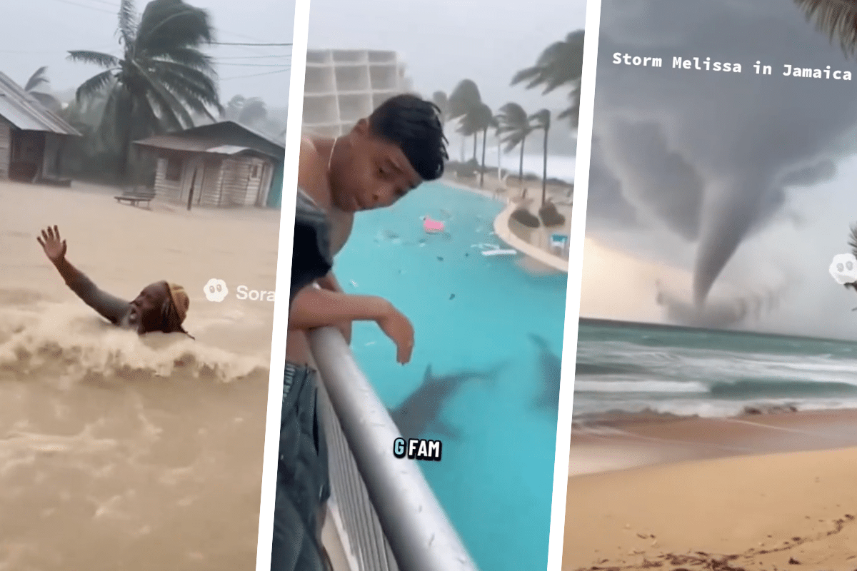 Ouragan Melissa : requins dans les rues et maisons qui volent… comment repérer la désinformation et les fausses vidéos ?