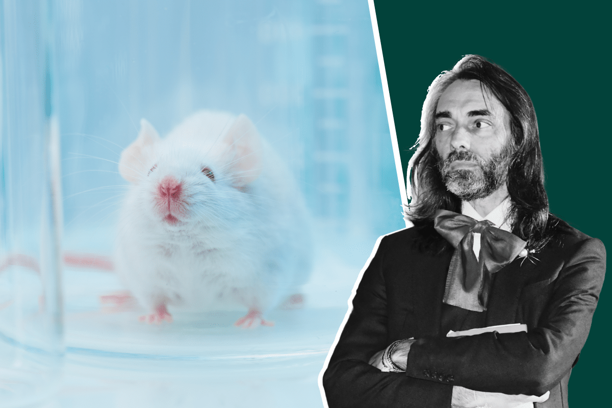 Cédric Villani et la victoire des souris de laboratoire, l’éclair d’humanité d’un «monde au bord du gouffre»