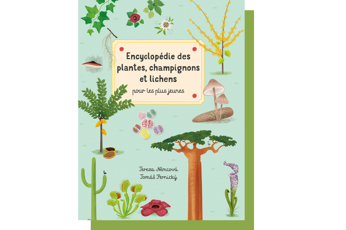 Sur la terre et sous la mer, deux encyclopédies pour faire découvrir des centaines d’espèces aux plus jeunes