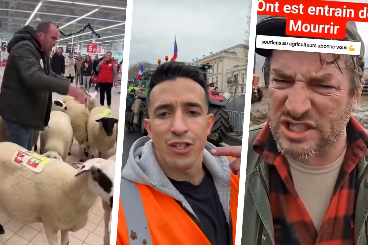 Vidéos générées par IA sur TikTok, faux comptes sur X… le mal-être des agriculteurs instrumentalisé sur les réseaux sociaux