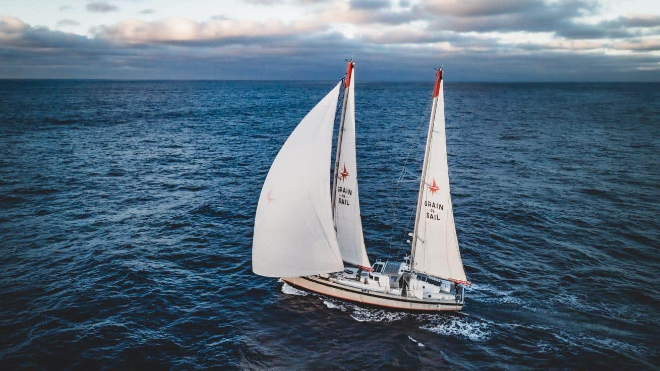 Pour se décarboner, la marine marchande remet les voiles