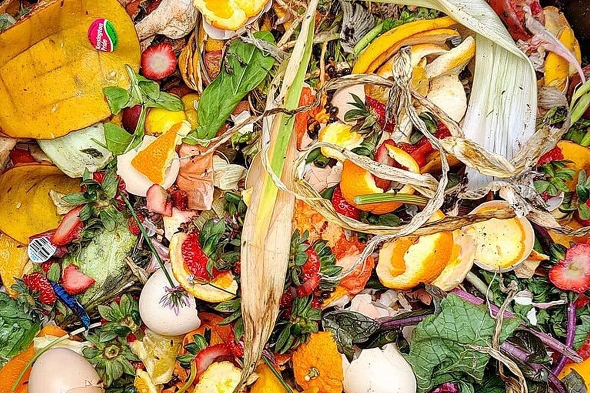 Le tri des déchets organiques devient obligatoire au 1er janvier, mais seul un tiers des Français est équipé 