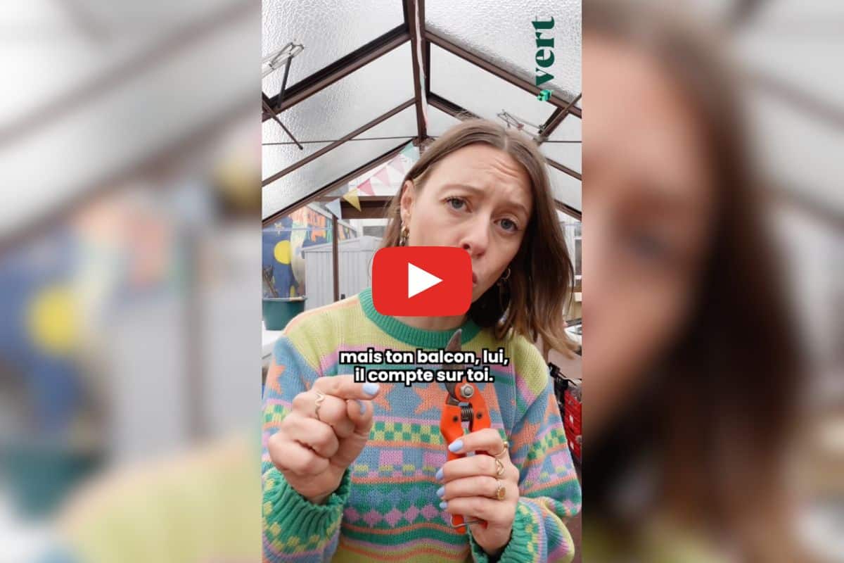 Comment préparer nos plantes à l’hiver ? Ta mère nature donne ses meilleures astuces