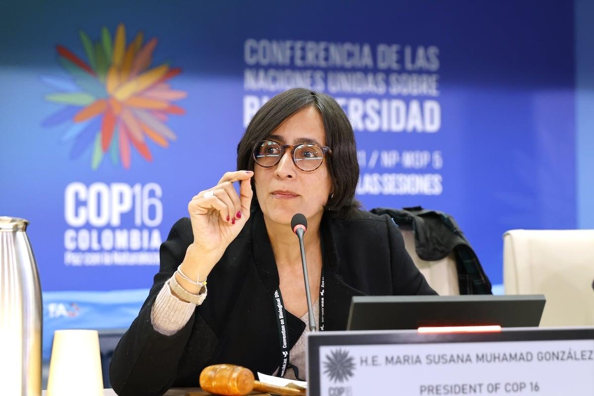 COP16 biodiversité : à Rome, 196 pays trouvent (enfin) un accord financier pour protéger la nature