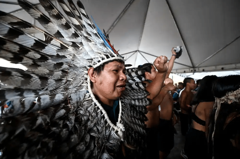 2023 (ou presque) bonnes nouvelles pour l’écologie de 2023