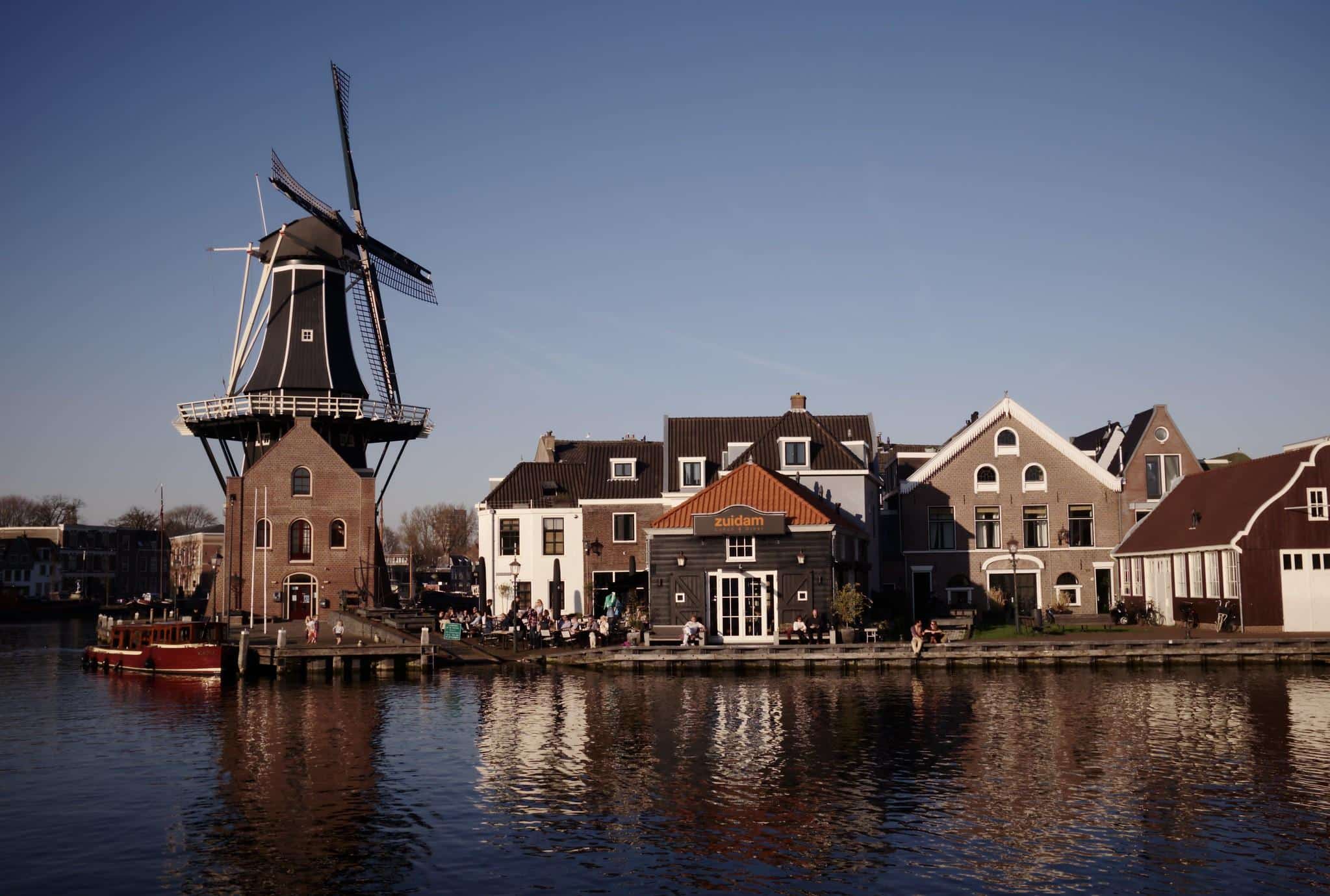 Une ville aux Pays-Bas bannit les pubs pour la viande, les voitures à essence ou l&rsquo;avion