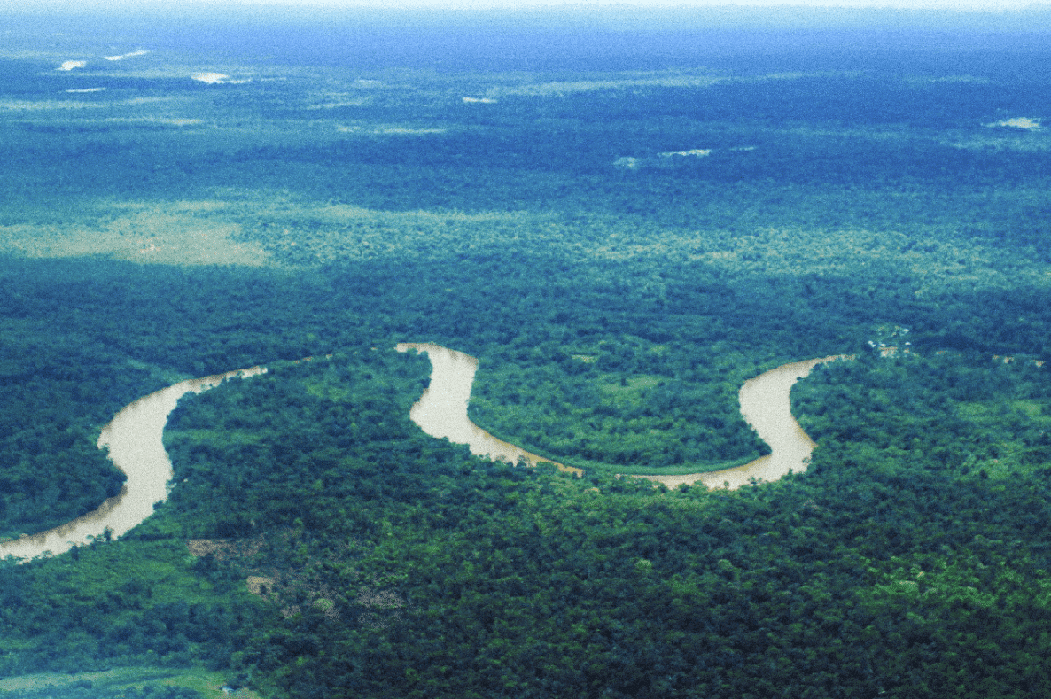 Et si l&rsquo;on donnait de vrais droits au vivant ?
