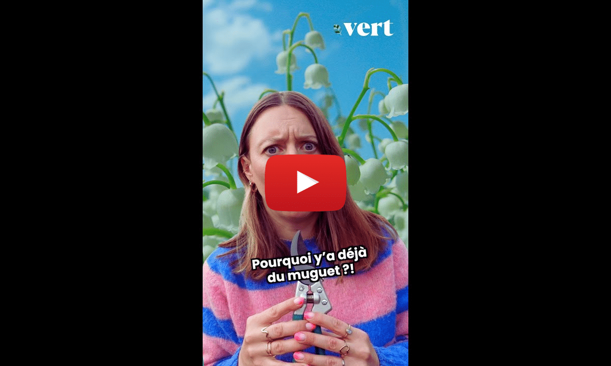 Le traditionnel muguet du mois… d’avril ?