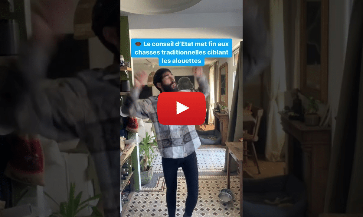 Chasses traditionnelles d&rsquo;oiseaux, vélos et pilote de ligne : les bonnes nouvelles de la semaine