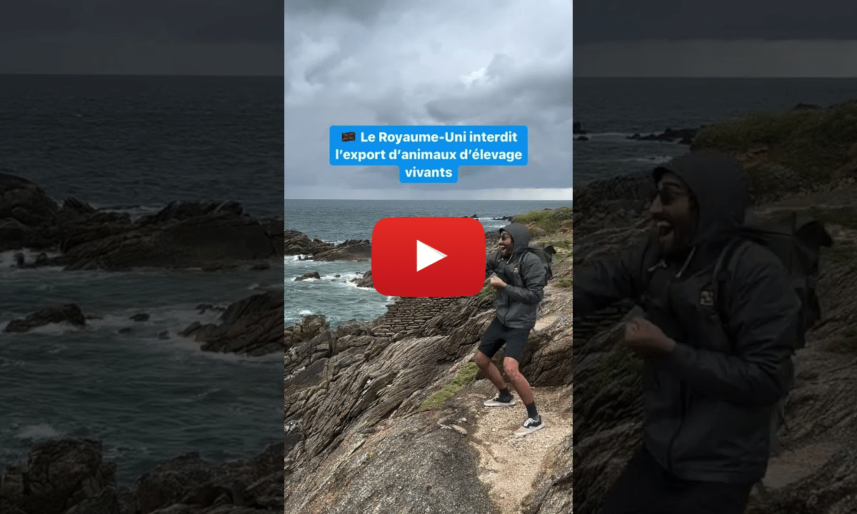 Zoos au Costa Rica, animaux d’élevage au Royaume-Uni, charbon en Inde : les bonnes nouvelles de la semaine