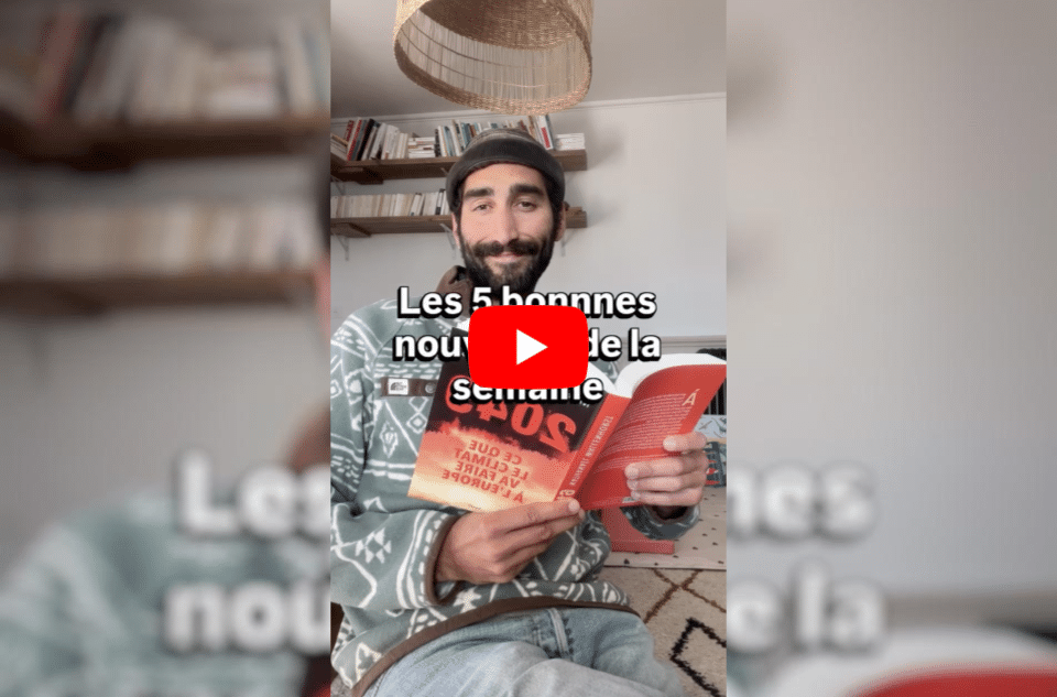 Retour en force des tortues vertes, manifestations anti-Trump : les bonnes nouvelles de la semaine