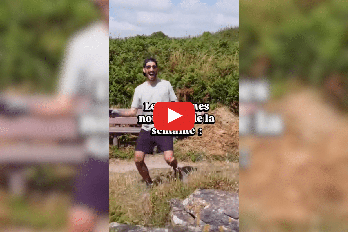 Un nouveau train de nuit Marseille-Rome, la Tunisie interdit la pêche au poulpe : les bonnes nouvelles de la semaine