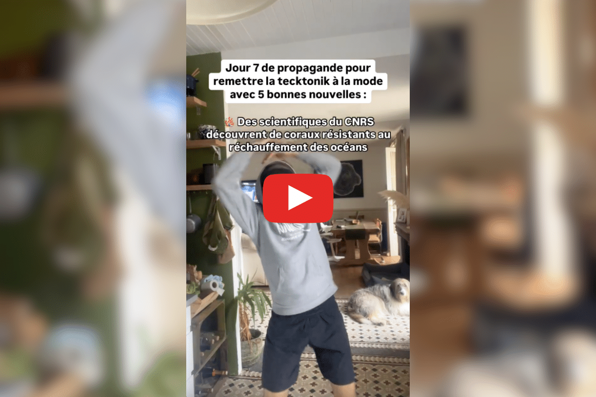 Des panthères des neiges par centaines, des coraux hyper résistants : les bonnes nouvelles de la semaine