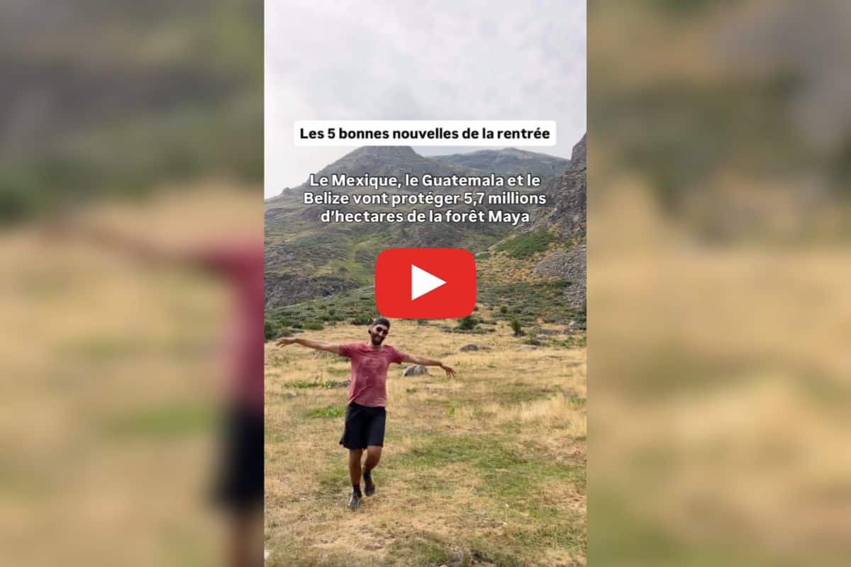 La qualité de l’air s’améliore à Paris, un accord sur la protection de la forêt maya : les bonnes nouvelles de la rentrée