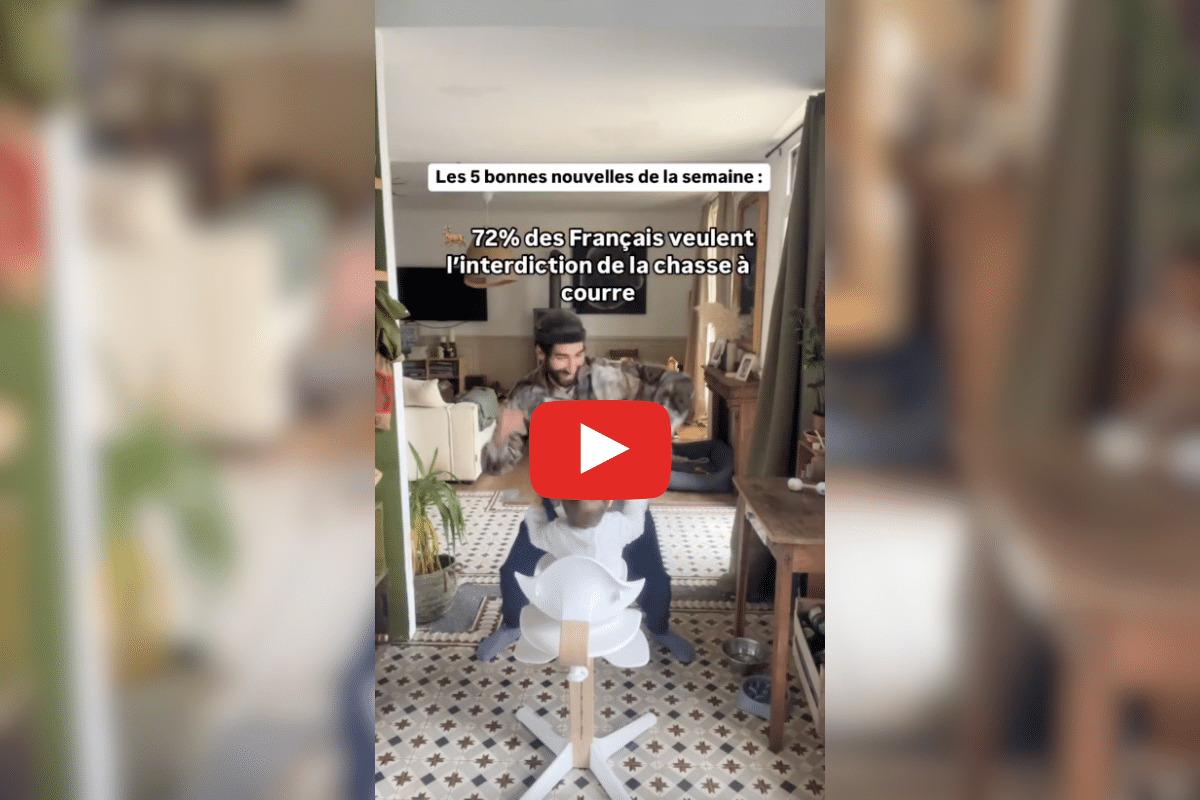 Retour du train pour Milan, l’Afrique du Sud au secours des manchots : les bonnes nouvelles de la semaine