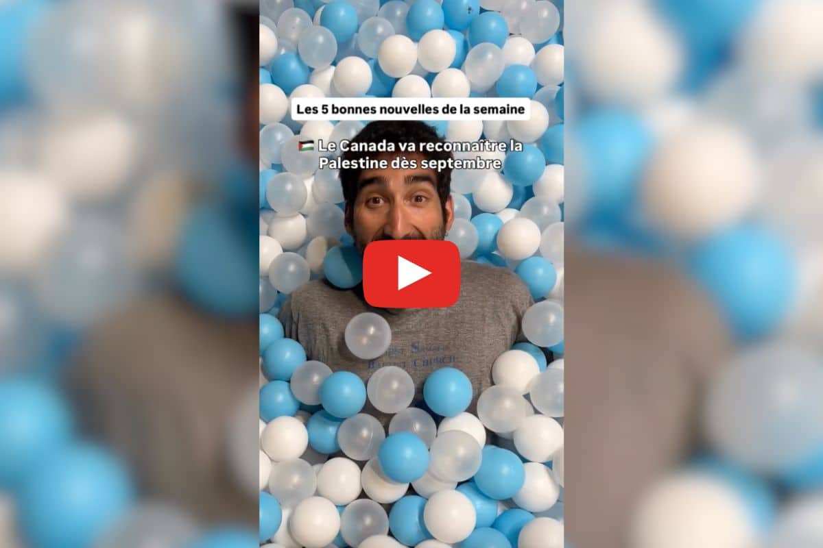 Sécurité des dauphins, une aide pour végétaliser son extérieur : les bonnes nouvelles de la semaine