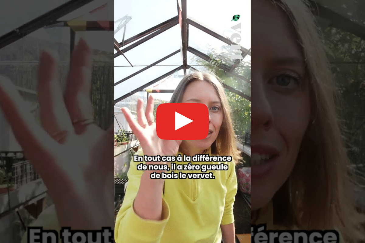 La nature est alcoolique !