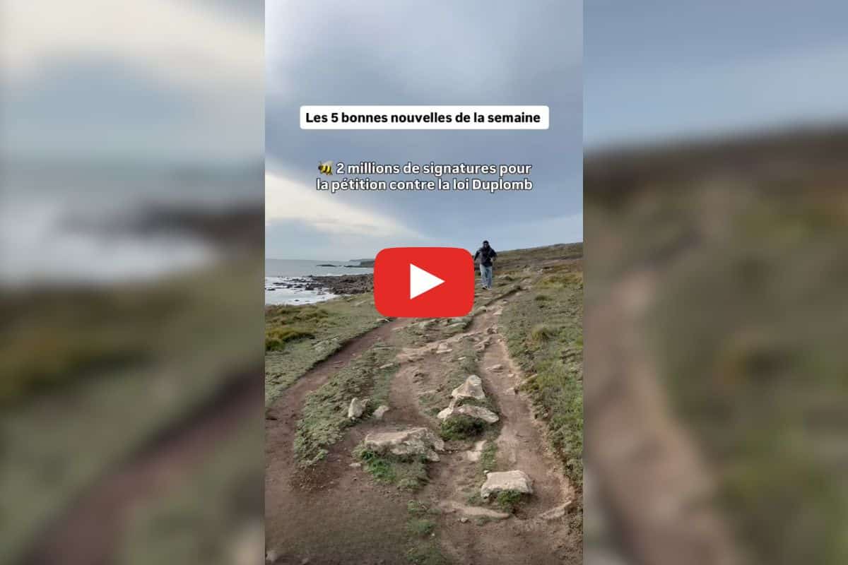 Deux millions de signatures contre la loi Duplomb, le Danemark interdit 23 pesticides et PFAS sur son sol : les bonnes nouvelles de la semaine