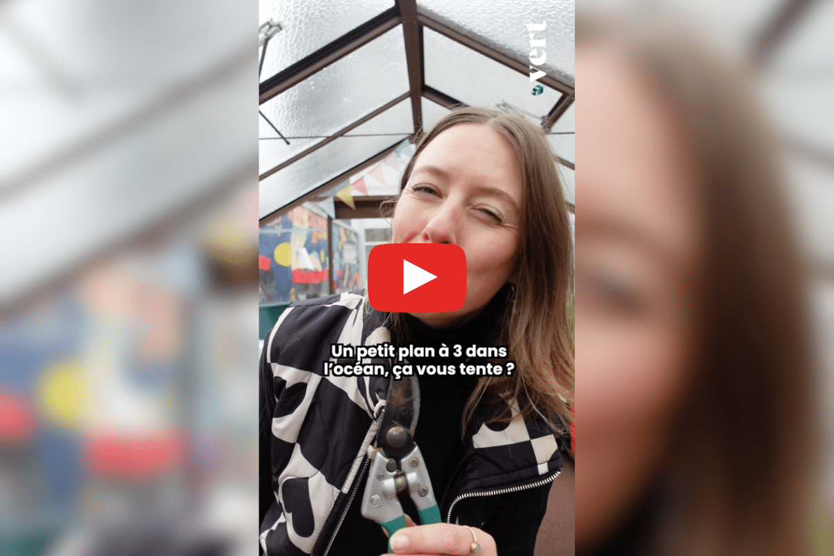 Un plan à trois entre requins ? Ta mère nature explique pourquoi c’est un événement scientifique