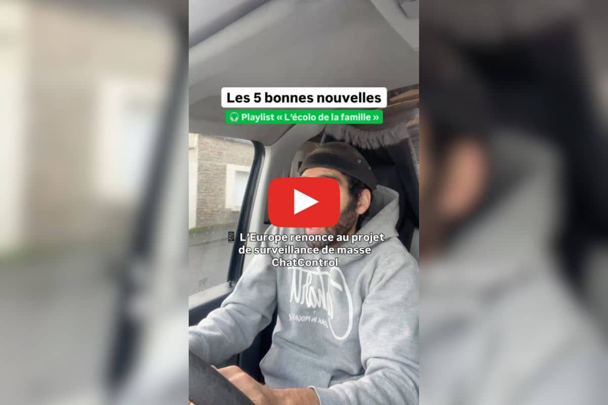 Retour en force des baleines franches, baisse de la déforestation au Brésil : les bonnes nouvelles de la semaine