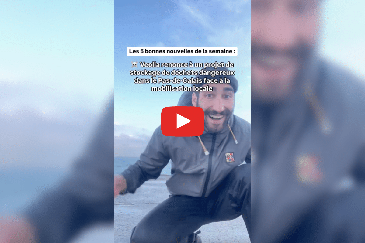 Chamonix interdit les constructions de résidences secondaires, 22 oursons nés dans les Pyrénées : les bonnes nouvelles de la semaine