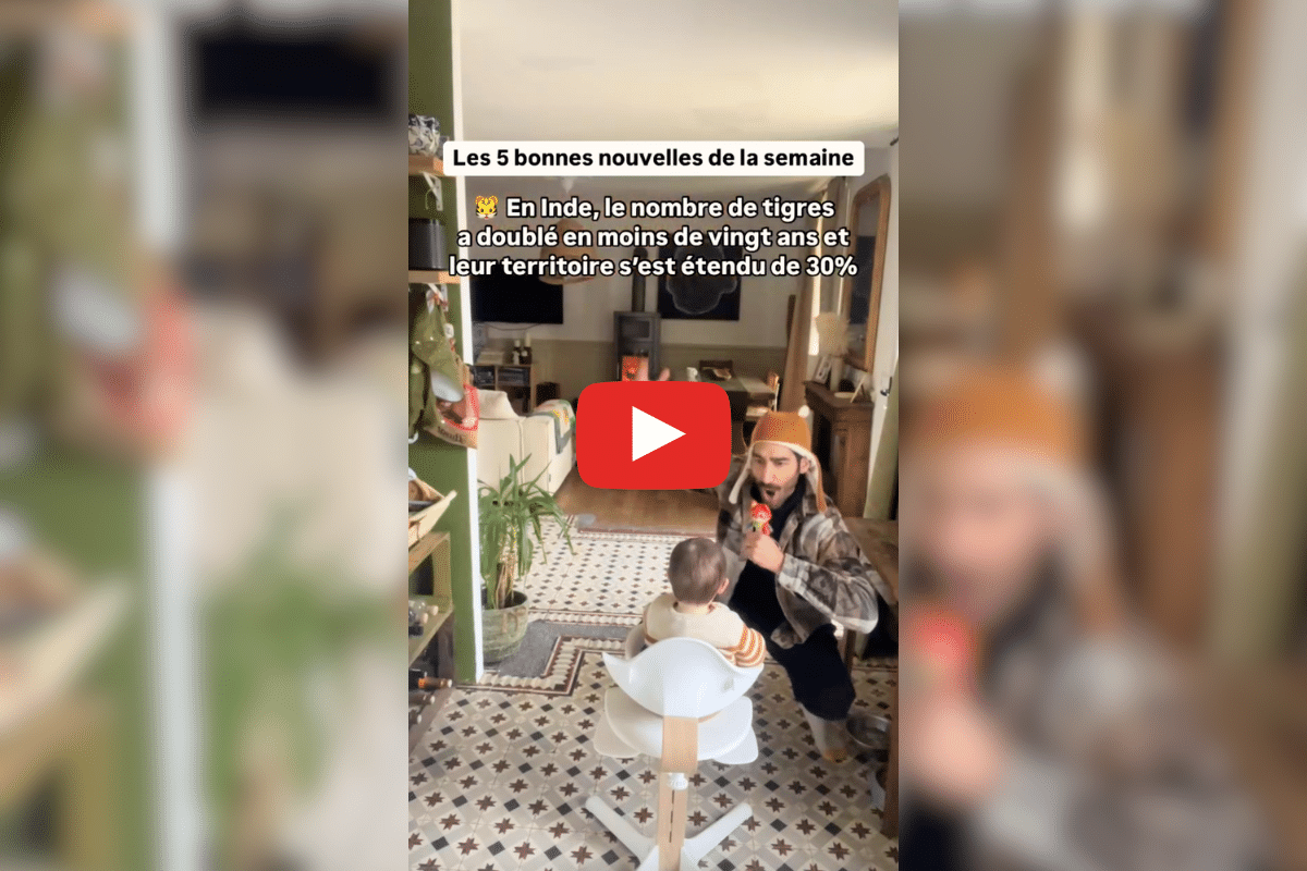 Le Canada renonce à un projet d’aéroport, l’Agence bio ne sera pas supprimée : les bonnes nouvelles de la semaine