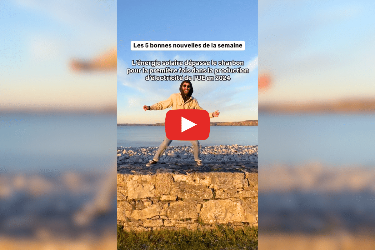 L’énergie solaire en plein boom dans l’UE, la Thaïlande chasse les déchets plastiques : les bonnes nouvelles de la semaine