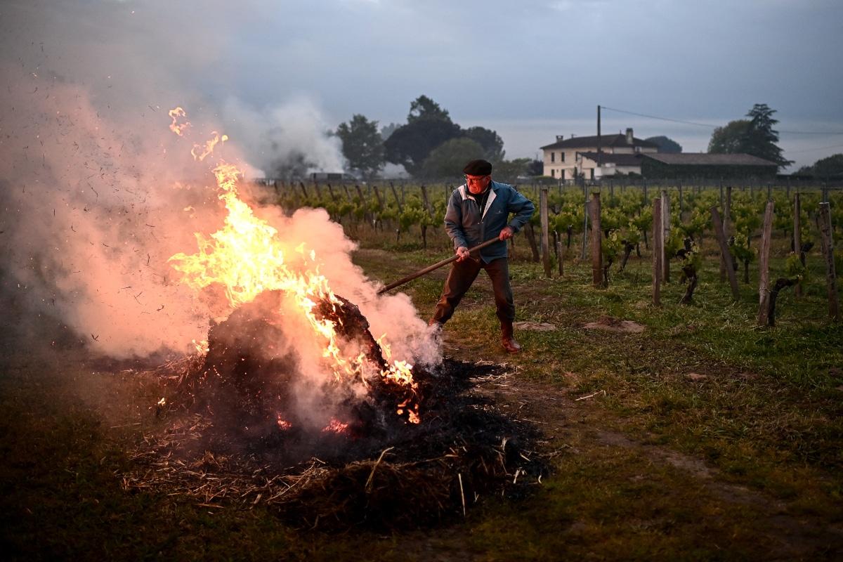 Gelées tardives : «On est à un degré près, s’il fait -1°C, ça craint»