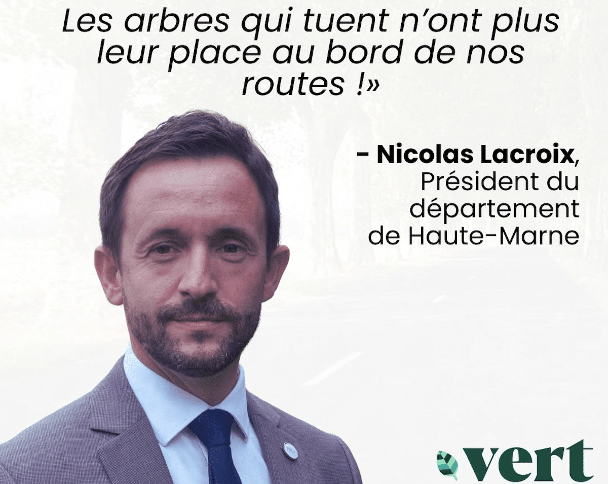 La Haute-Marne veut abattre des milliers d’arbres pour «protéger ses habitants»