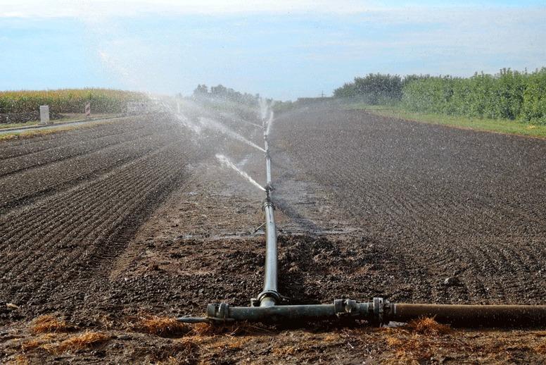 La chaleur et la sécheresse s’installent en France