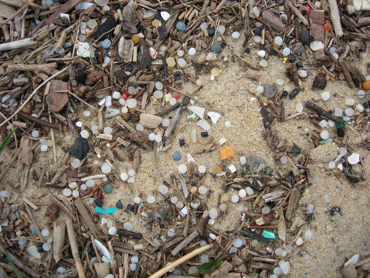 Granulés plastiques sur les plages : un « cauchemar environnemental »
