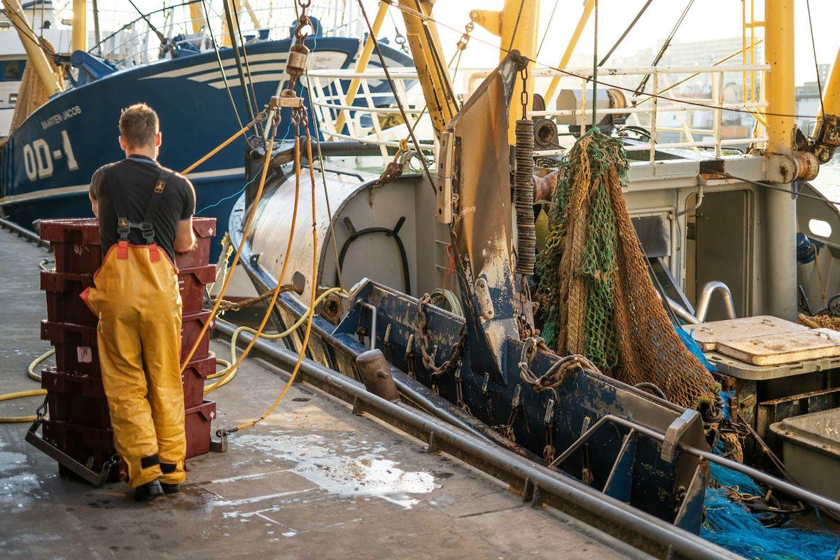 La pêche industrielle détruit l’océan et crée deux fois moins d’emplois que la pêche côtière, selon l’association Bloom
