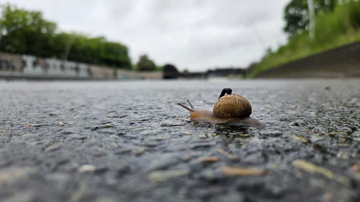 On a couru sur l&rsquo;A13, fermée à la circulation