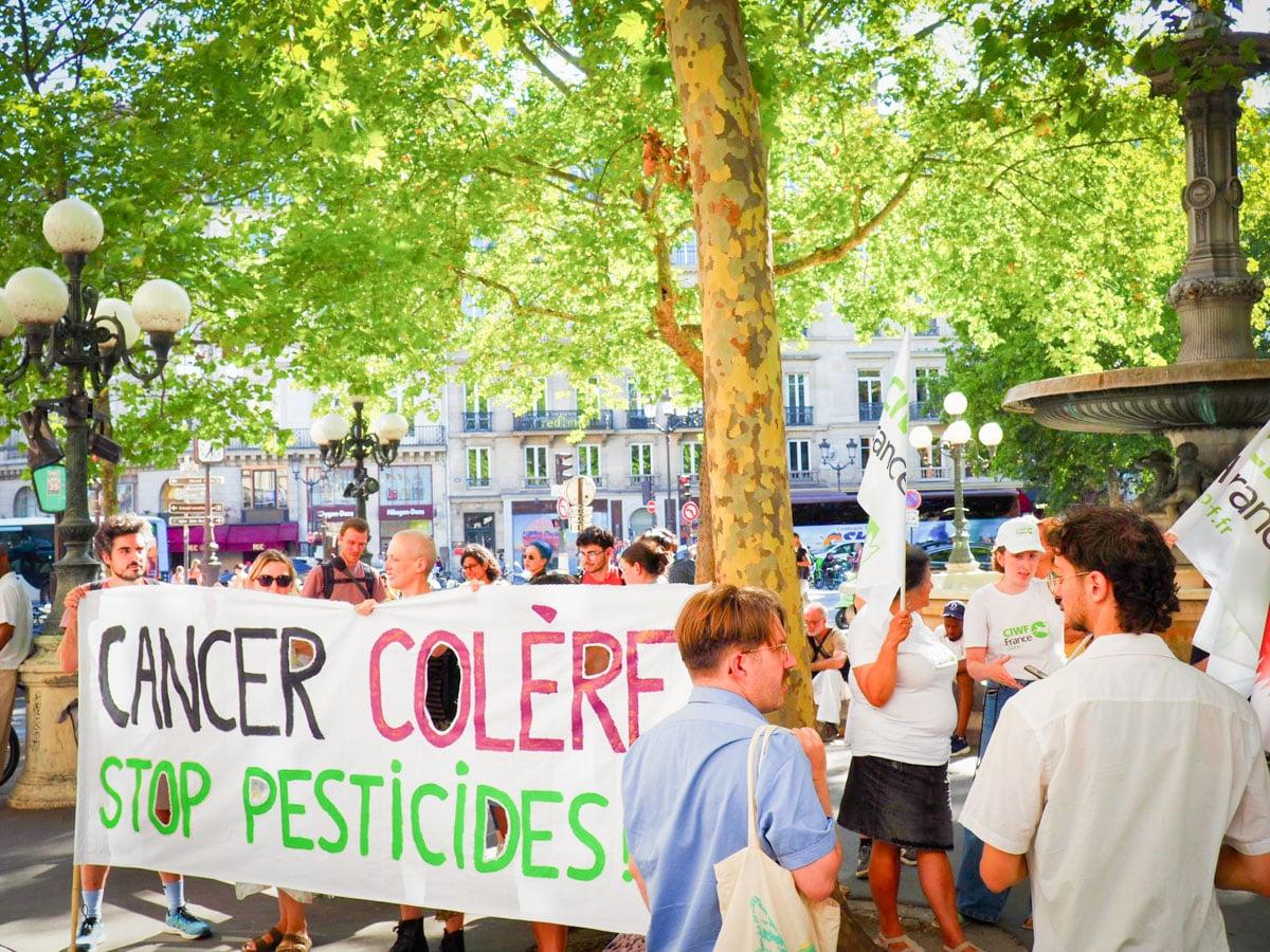 «On reste mobilisés» : devant le Conseil constitutionnel, des opposants à la loi Duplomb en partie soulagés et déterminés à poursuivre leur combat