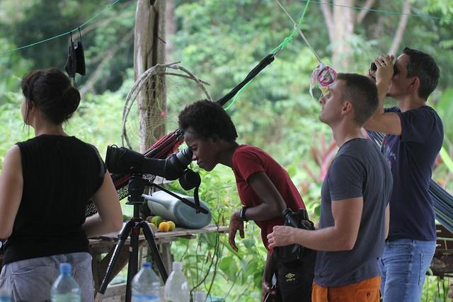 Municipales 2026 : que peut faire votre maire pour favoriser la biodiversité ?