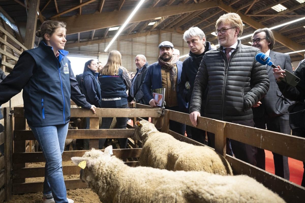 Que retenir des 35 mesures du gouvernement pour pérenniser le secteur agricole en France ?