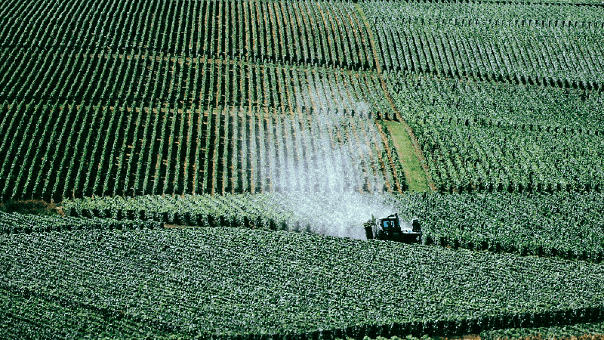 Haute Valeur Environnementale : le gouvernement accusé de greenwashing