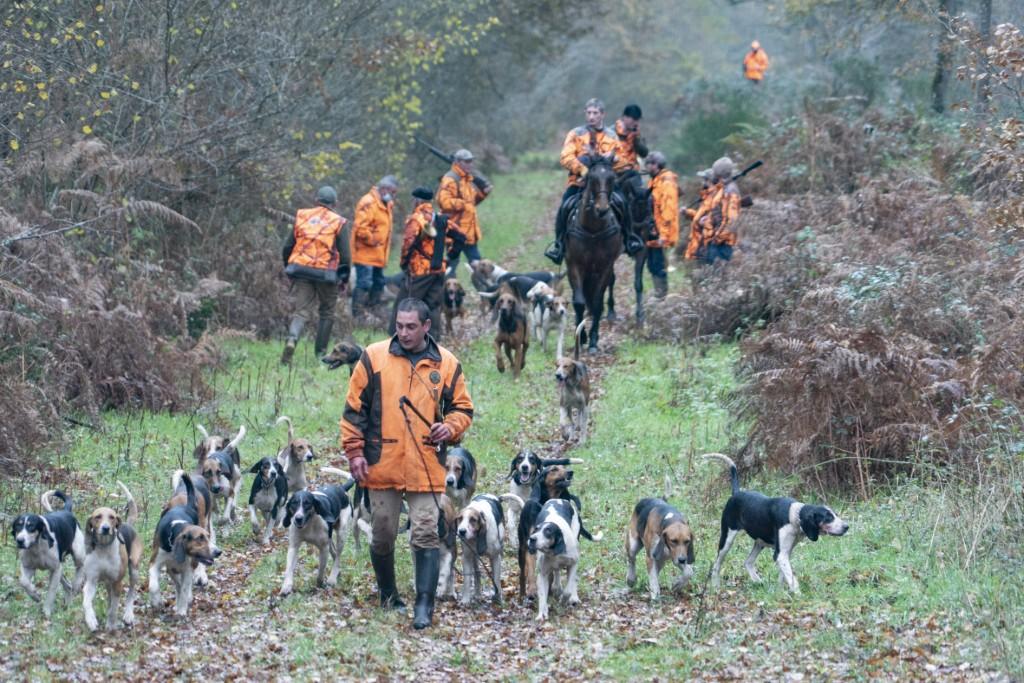 Le gouvernement refuse d’interdire la chasse le dimanche et promet une application pour sécuriser la pratique