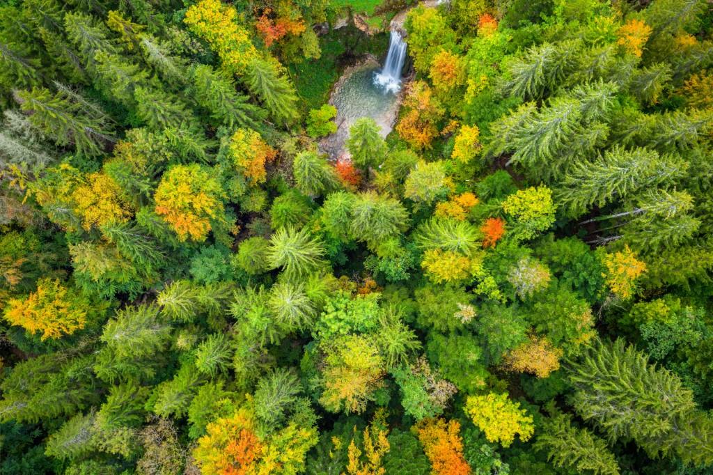 Le gouvernement dévoile enfin son plan pour protéger la biodiversité en France