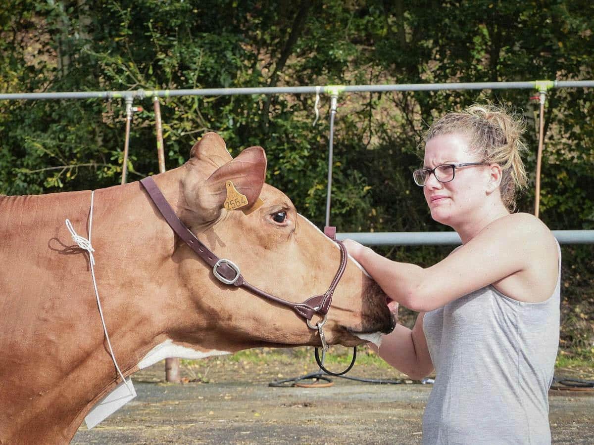 Et si on favorisait l’installation des femmes pour transformer l’agriculture ?