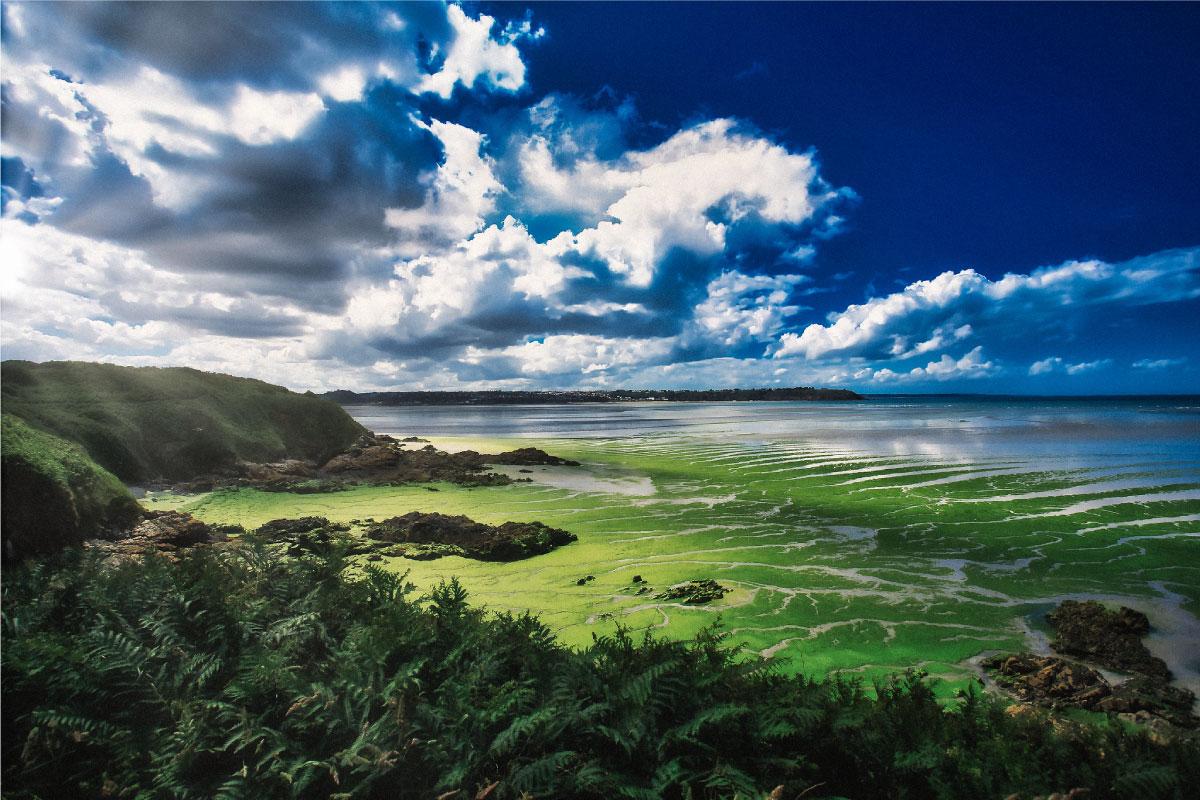 Le nouveau plan de lutte contre les nitrates refuse toujours de toucher à l&rsquo;agriculture industrielle