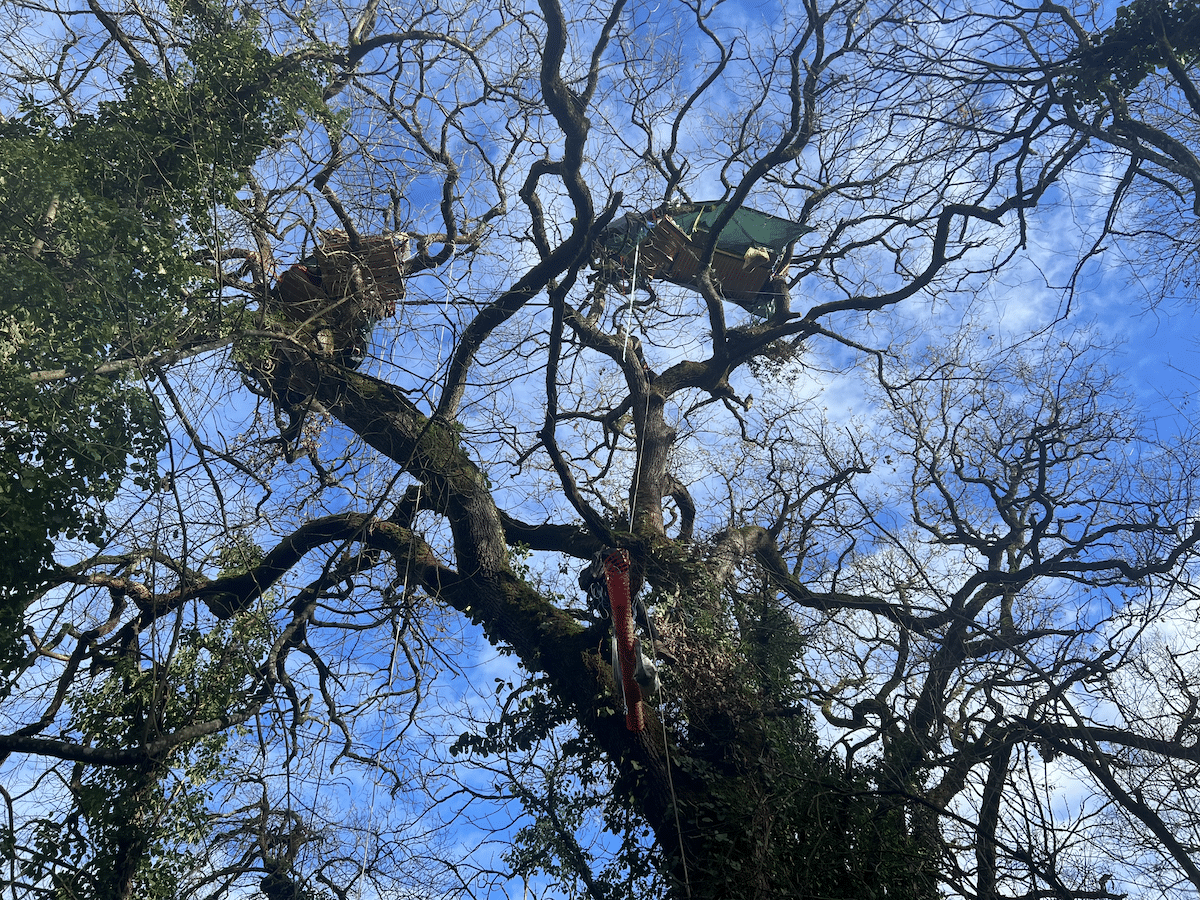 Démantèlement de la Zad sur l’A69 : «Chaque minute prend une tournure plus anxiogène et dangereuse, mais on n’a pas le choix»