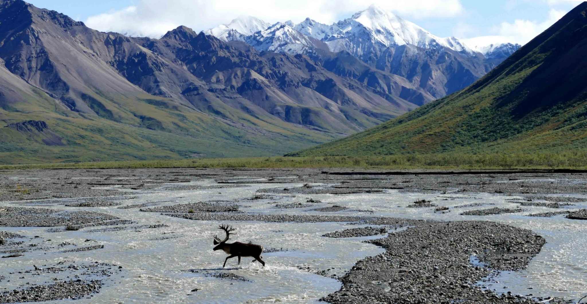Avant de rendre les clefs, Donald Trump achève bien les caribous