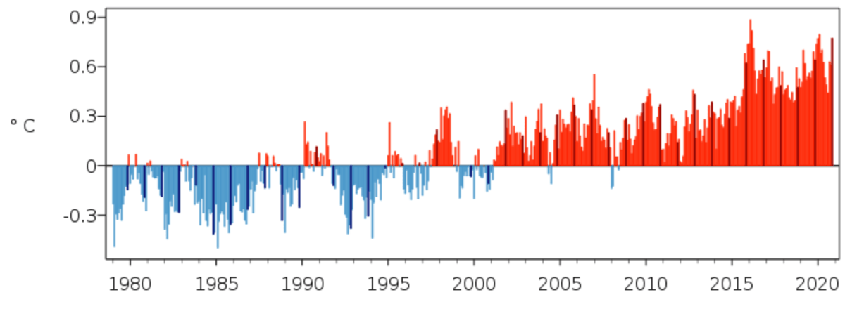 Le mois de novembre le plus chaud