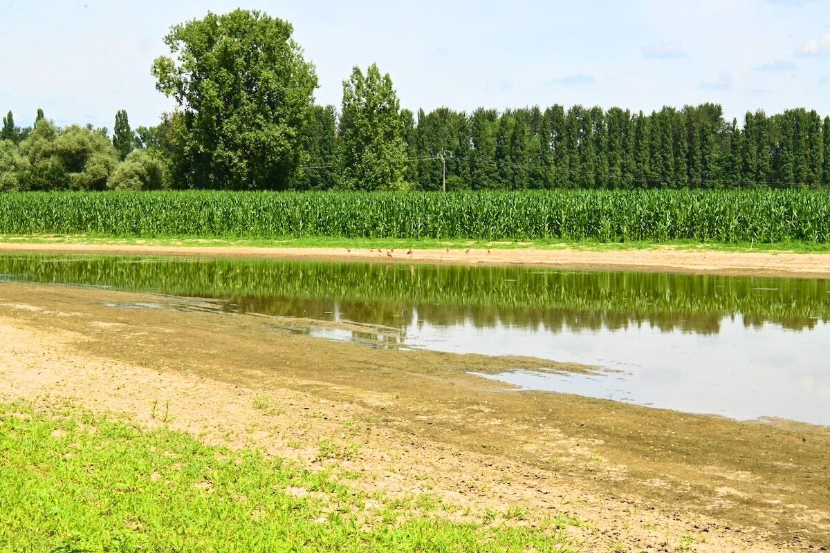 «Il faut vraiment s’inquiéter» : dans la nappe phréatique alsacienne, un cocktail de «polluants éternels»