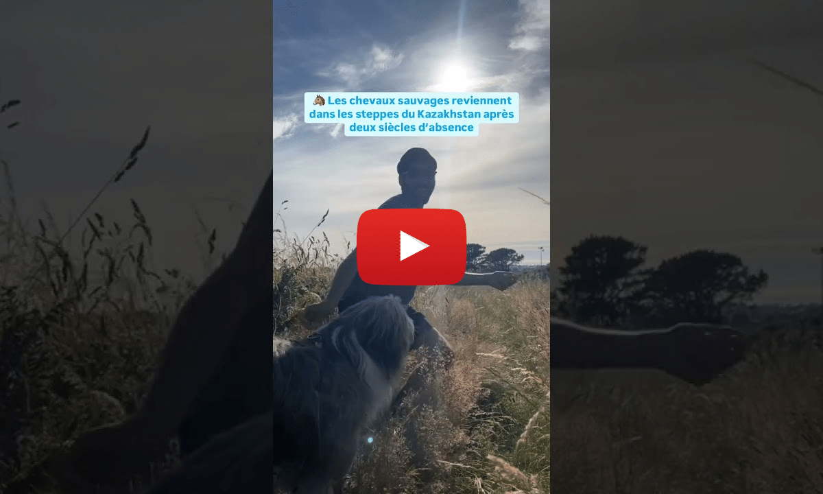 Traité contre la prolifération des énergies fossiles, l&rsquo;Allemagne attaquée en justice pour inaction climatique : les bonnes nouvelles de la semaine